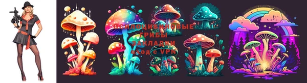 таблы Алзамай
